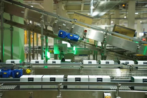 数字监控系统 实现牛奶从牧场到包装下线13小时高效管控